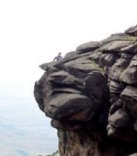 The Summit